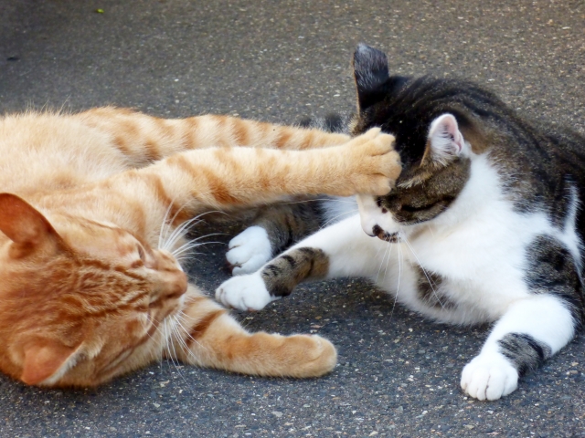 率先垂範のイメージ写真