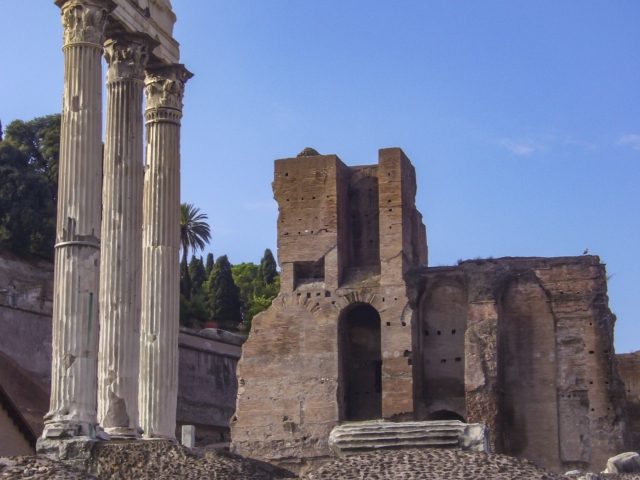 栄枯盛衰のイメージ写真