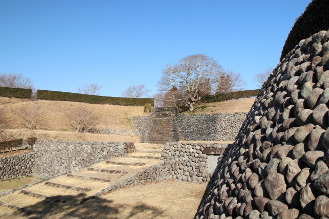 栄枯盛衰のイメージ写真