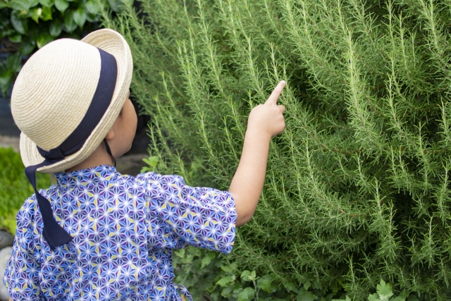 天真爛漫のイメージ写真
