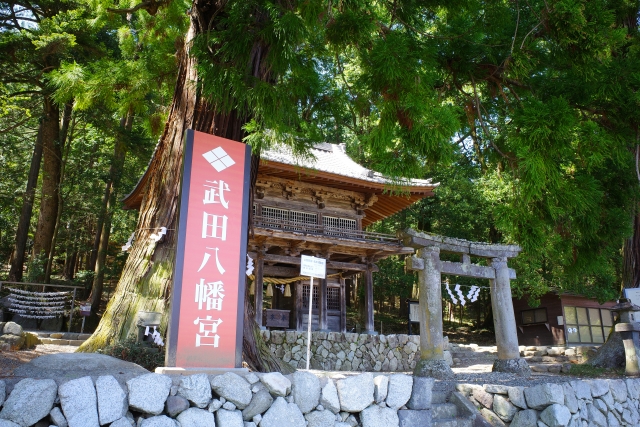 武田八幡宮の写真