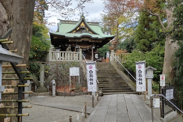 白旗神社の写真