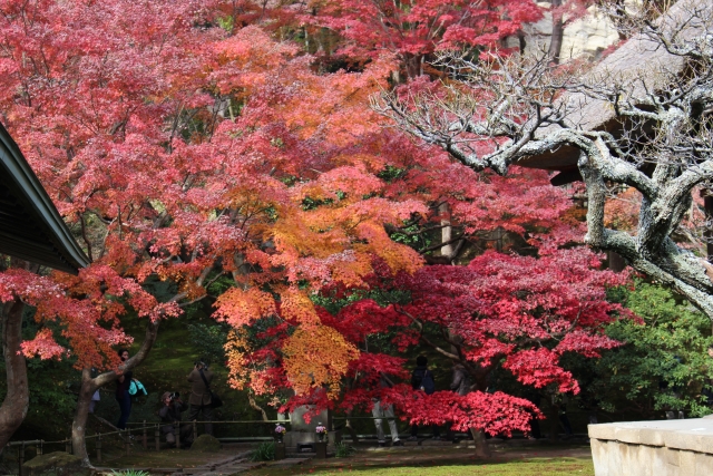 足利源氏のイメージ写真
