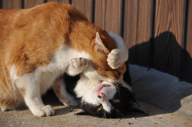 思慮分別のイメージ写真