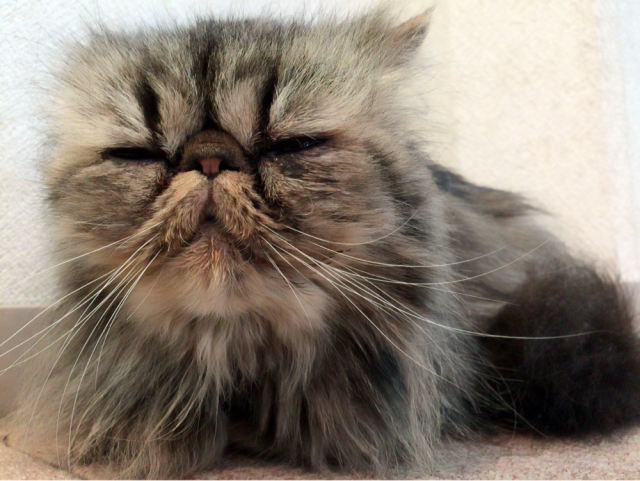 一視同仁のイメージ写真