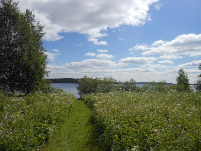 蛇の道は蛇のイメージ写真