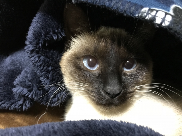 思慮分別のイメージ写真