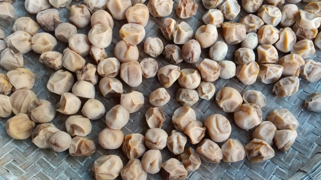 三日三晩のイメージ写真