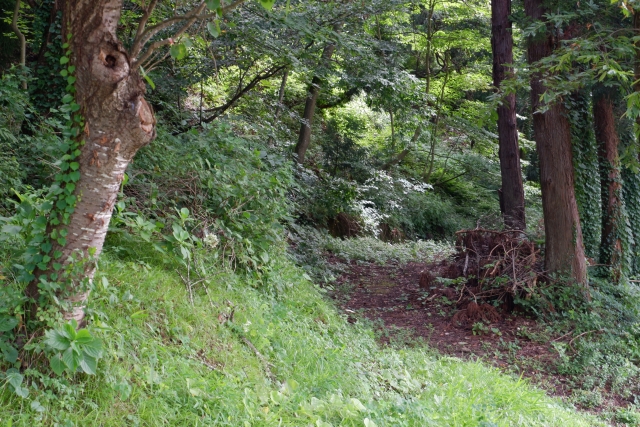 蛇の道は蛇のイメージ写真