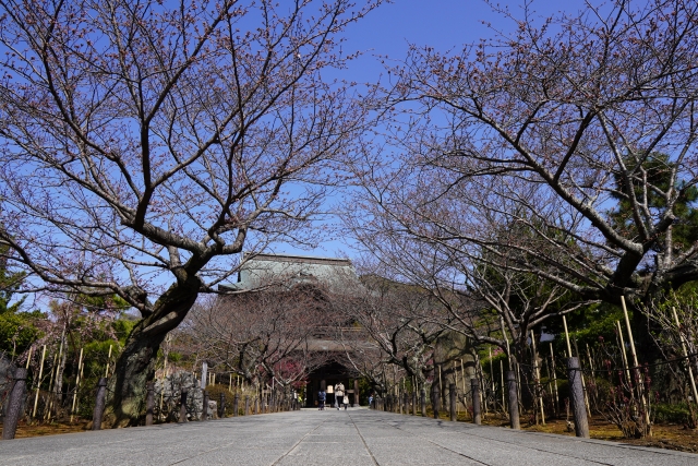 鎌倉寺の景色の写真