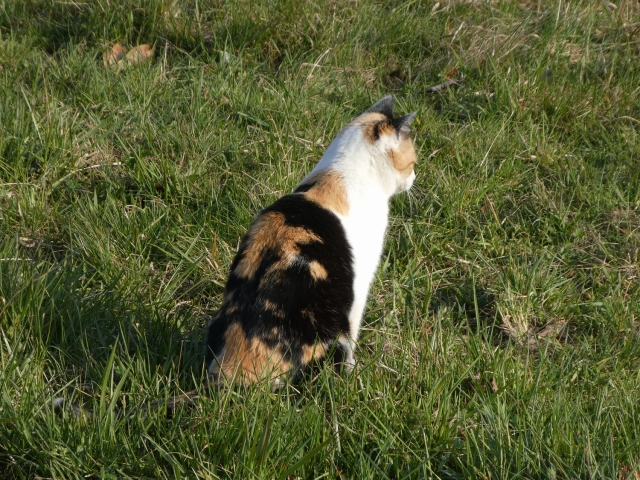 思慮分別のイメージ写真