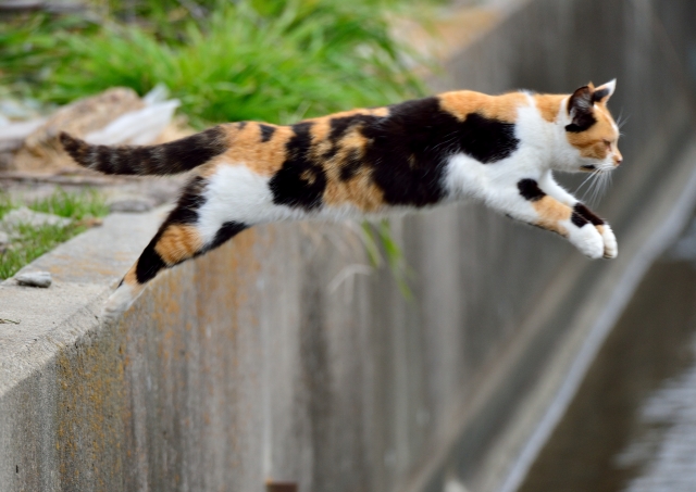 軽挙妄動のイメージ写真