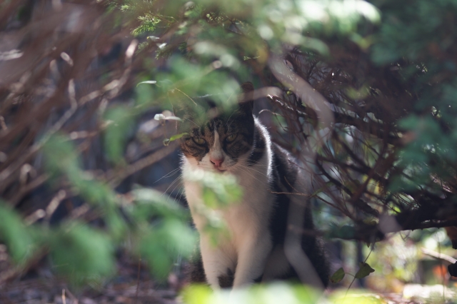 思慮分別のイメージ写真