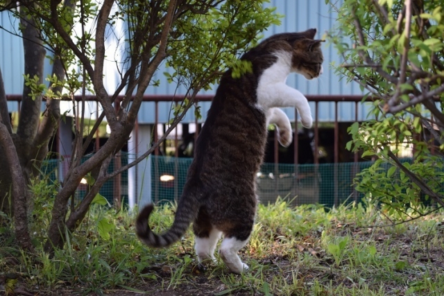 軽挙妄動のイメージ写真