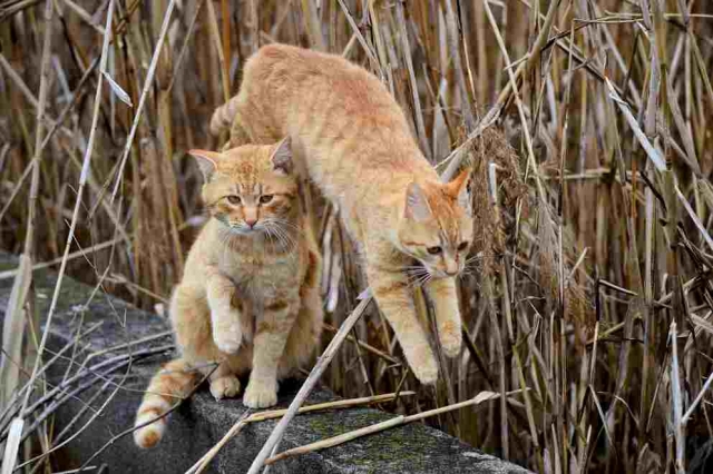 軽挙妄動のイメージ写真