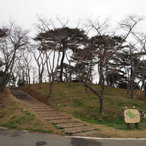 4月の松島西行戻しの松公園の風景