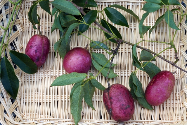 うべなるかなのイメージ写真