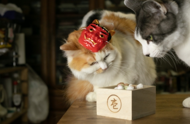 鬼の目にも涙のイメージ写真