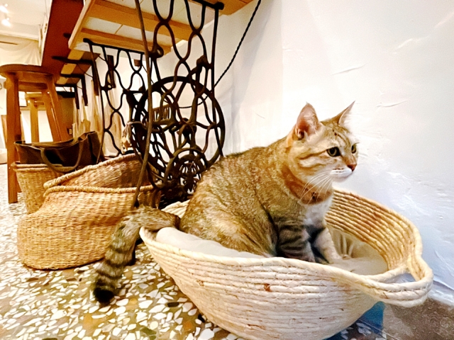 大同小異のイメージ写真