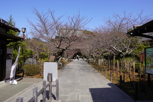 いざ鎌倉のイメージ写真