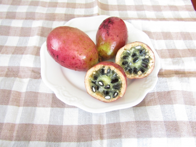 うべなるかなのイメージ写真