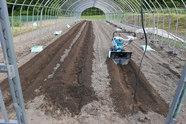 トマト栽培の畑の作り方の風景写真