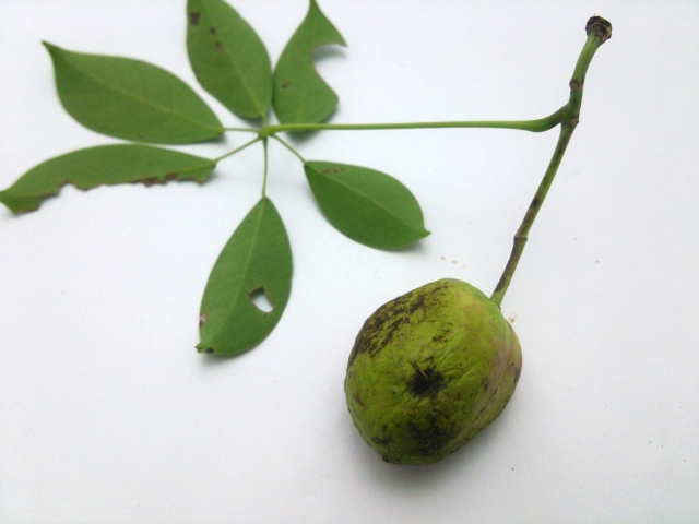 うべなるかなのイメージ写真