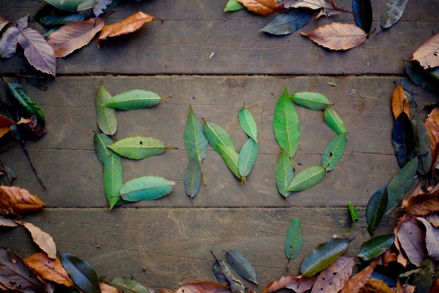 一巻の終わりのイメージ写真