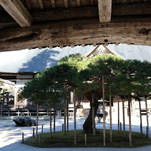 中尊寺の正門から見た風景写真