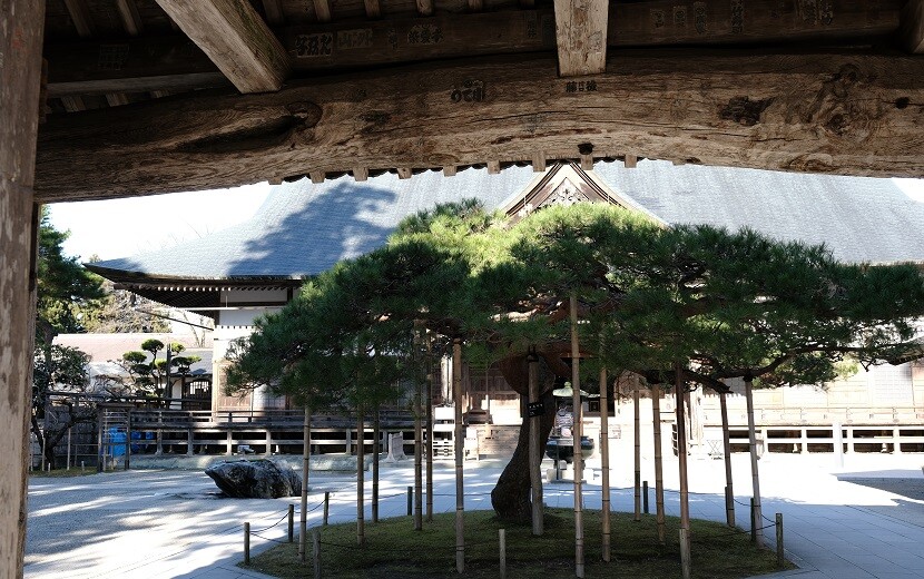 中尊寺の正門から見た風景写真