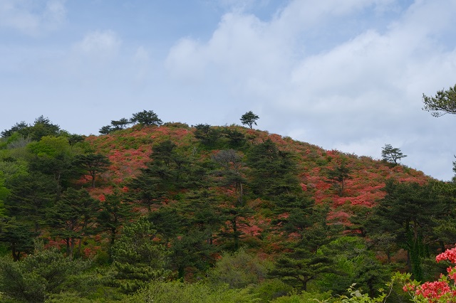 本吉口登山口の登山道の風景写真