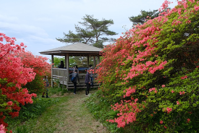 第二展望台の風景写真