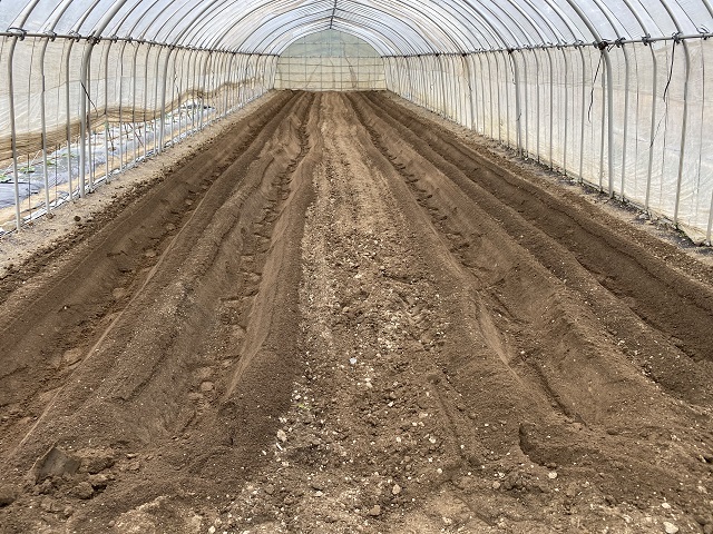 畝立ての状況写真