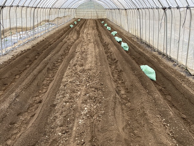 畝立ての状況写真