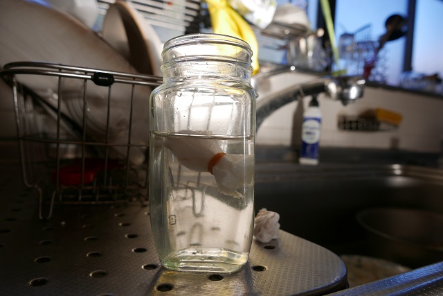 麗夏の種をさらし布に入れて水に浸ける