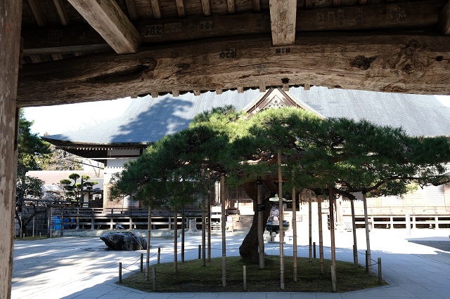 中尊寺本堂の写真