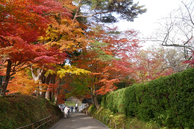 中尊寺の秋の紅葉の写真