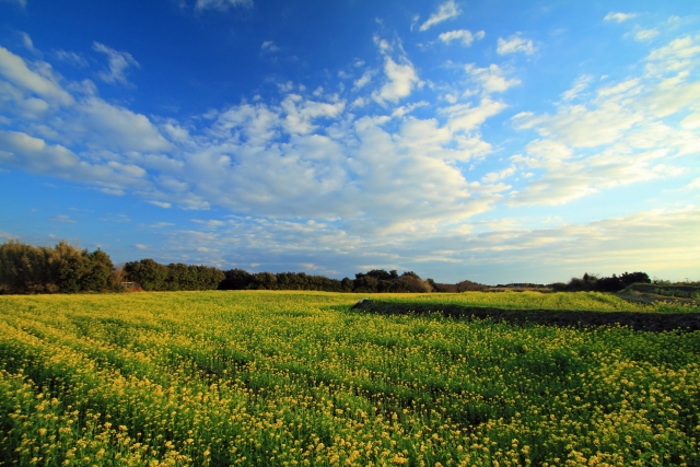 疚しいのイメージ画像
