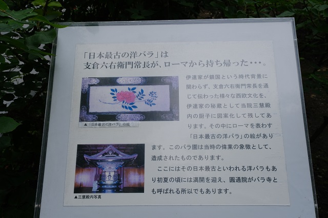 円通院のバラ園の写真