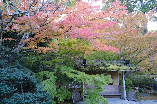 円通院の紅葉の写真