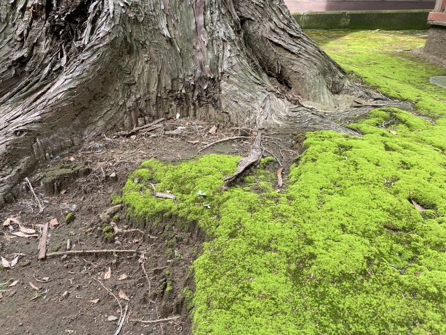 地に足をつける