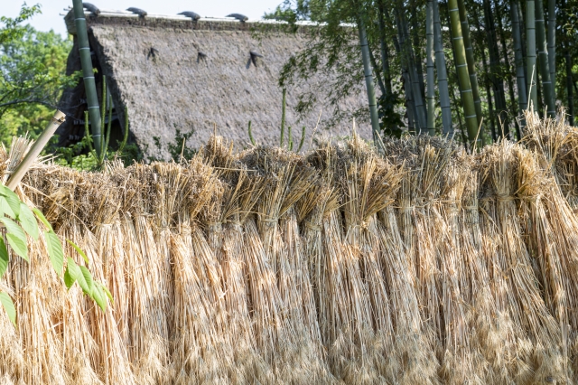 藁の写真
