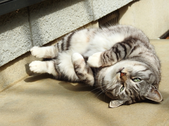 返るのイメージ写真