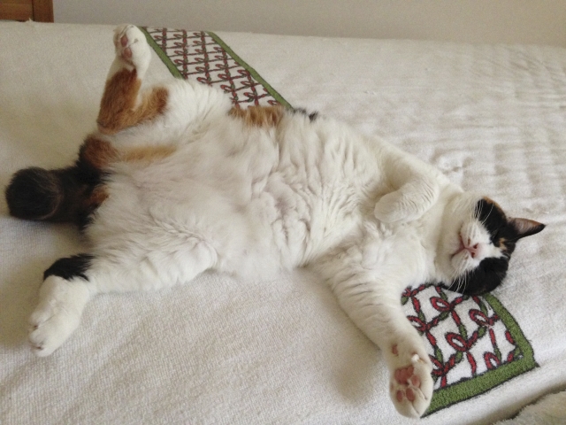 返るのイメージ写真