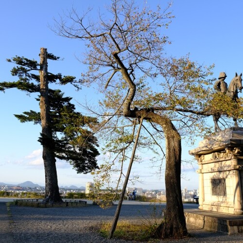 青葉城址公園の風景写真