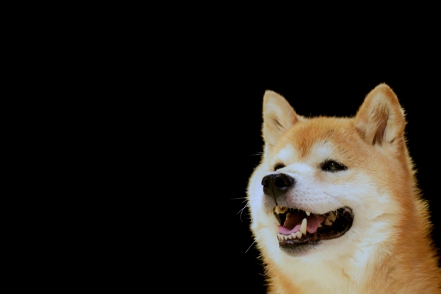 乞うご期待のイメージ写真