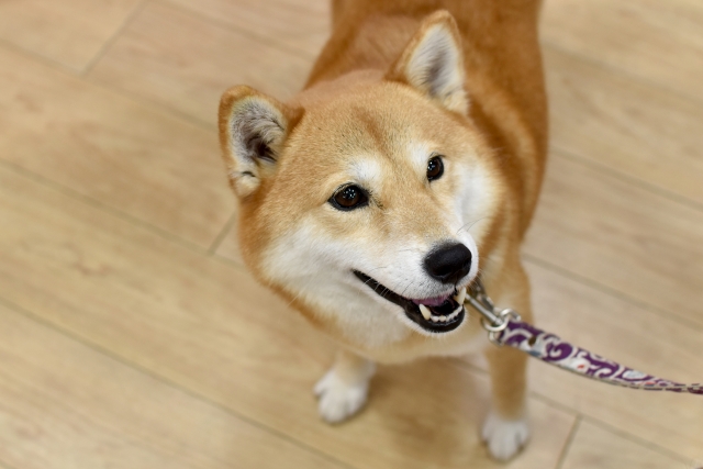 乞うご期待のイメージ写真