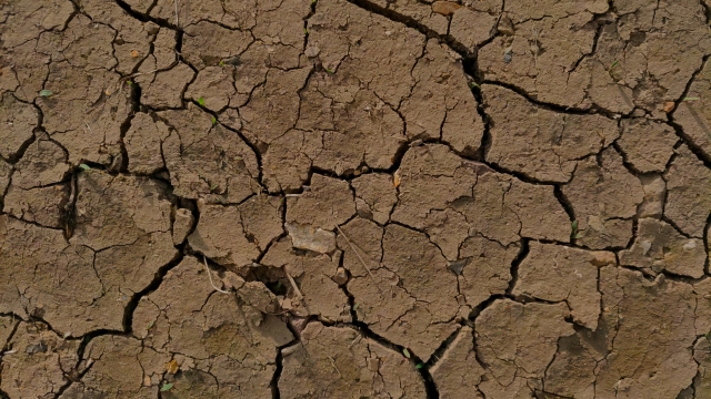 塗炭の苦しみのイメージ写真