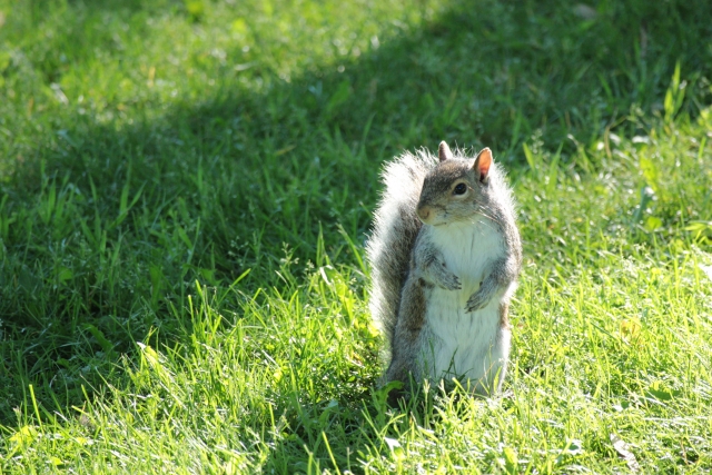 進取の気性のイメージ写真