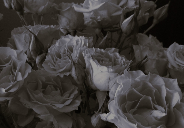 背徳感のイメージ写真